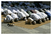 Muslims in prayer