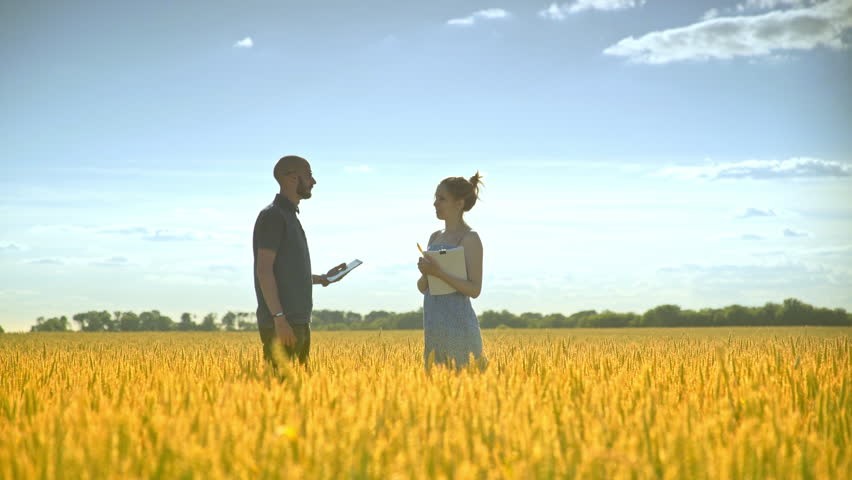 harvest - library stock image